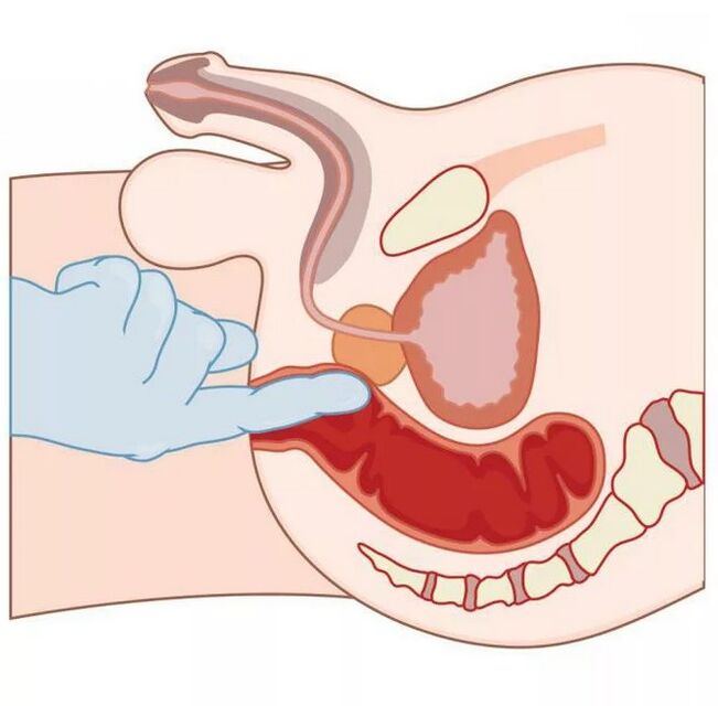 Meeste G-punkti asukoht